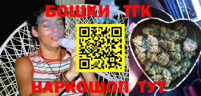крисы Кунгур
