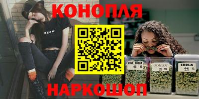 крисы Кунгур