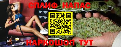 крисы Кунгур