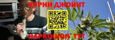 крисы Кунгур